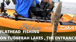 Flathead fishing on Tuggerah Lakes  The Entrance [upl. by Alethea24]