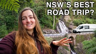 Is This NSWs BEST Road Trip Waterfall Way  Armidale to Coffs Harbour [upl. by Tull593]