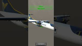 Pulkovo flight 612 crash plane [upl. by Dionisio898]