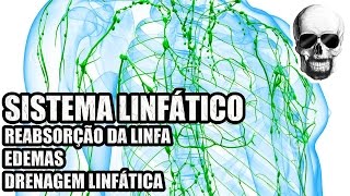 Vídeo Aula 138  Anatomia Humana  Sistema Linfático Linfa Edemas e Drenagem Linfática [upl. by Edda]