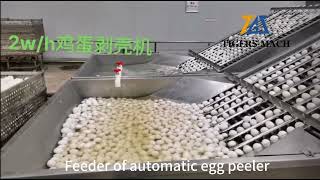 The Negg Egg Peeler  Tested and Reviewed [upl. by Oby745]