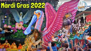 Mardi Gras New Orleans  How to Do Carnival in New Orleans [upl. by Enerahs]