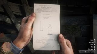 Red Dead Redemption 2Incendiary Buckshot Pamphlet location [upl. by Orest]