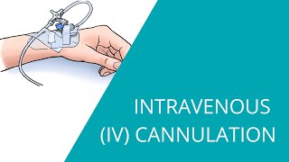 Intravenous IV Cannulation  how to prepare and insert an intravenous fluid line [upl. by Call]