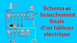 schéma branchement câblage tableau electrique maison [upl. by Namijneb]