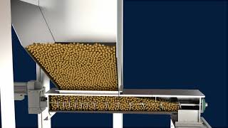 Screw Conveyor vs Screw Feeder [upl. by Carvey]