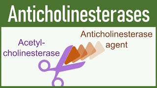 Anticholinesterase Agents Organophosphates amp Carbamates [upl. by Nnaaras]