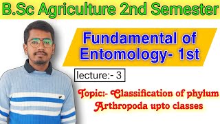 Classification of phylum Arthropoda upto classes Fundamental of Entomology 1 BSc Agri 2 Entomology [upl. by Roice]