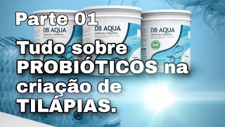 23  Probiótico DB Aqua parte 01  Criação de Tilápias passo a passo Como utilizar Resultado [upl. by Bannerman]