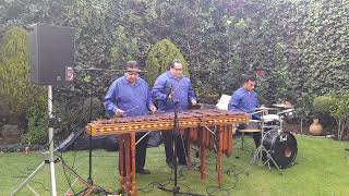 Marimba Orquesta Hermanos Guerrero 3 elementos [upl. by Elicia]