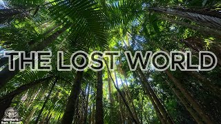 Discovering the Lost World Bellthorpe National Park [upl. by Leahcimluap]