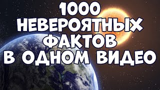 1000 НЕВЕРОЯТНЫХ ФАКТОВ В ОДНОМ ВИДЕО [upl. by Enomys]