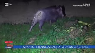 Taranto 14enne azzannato da un cinghiale  La vita in diretta 13052022 [upl. by Eile]