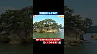 【松島観光】宮城旅行のおすすめ 松島観光 仙台旅行 [upl. by Aitan]