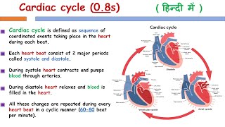 Heart  Heart Anatomy  Cardiac Cycle In Hindi  Heart Cycle  Blood Cycle [upl. by Anderer94]