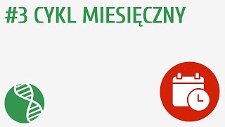 Cykl miesięczny 3  Rozmnażanie i rozwój [upl. by Yhtak926]