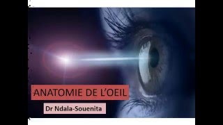 OPHTALMOLOGIE ANATOMIE DE L’OEIL [upl. by Chui]