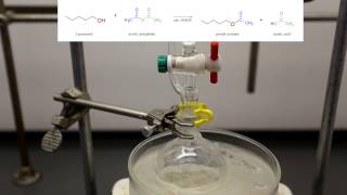 How to make Banana Mushroom Orange and Pear Flavoring Acetate Esters [upl. by Tega]