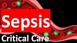 Sepsis 2024  Definition Pathophysiology Management and Prognosis [upl. by Tychonn695]