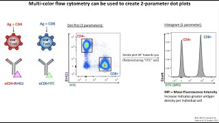 Lecture 7b Flow Cytometry [upl. by Quintana]