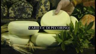 Making and tasting Pecorino cheese in Pienza Tuscany [upl. by Ilene139]