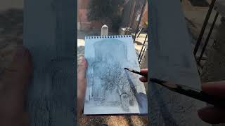 Bozzetto a carboncino di un antico palazzo con un bellissimo ulivo sketch sketchbook pleinair [upl. by Radnaxela]