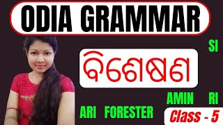 ODIA GRAMMAR  ବିଶେଷଣ Special Class for Bisesya FORESTER FOREST GUARD ARI SI RI ARI AMIN [upl. by Tehr832]