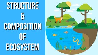 Structure amp Composition of Ecosystem  Environmental Science  EVS  Letstute [upl. by Efron]