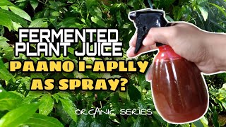 PAANO MAGAPPLY NG FERMENTED PLANT JUICE EXTRACTS SA HALAMAN Organic Spray1 [upl. by Mathe]