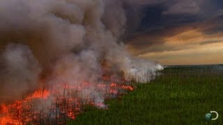 Filming a Raging Forest Fire  North America [upl. by Samira]