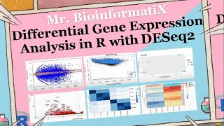 Differential Gene Expression Analysis in R with DESeq2  BioinformatiX [upl. by Notlrak]