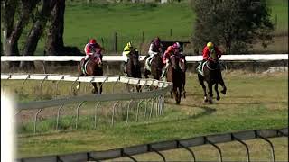 Gulgong 9 june 2024 race 1 [upl. by Zimmerman]