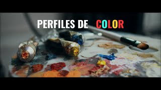 PERFILES DE COLOR  SONY  HLG3  ITU709  CINE4 MODIFICADO [upl. by Vorster899]