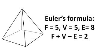 Maths  Visualizing Solid Shapes  Eulers Formula In English [upl. by Nylek]