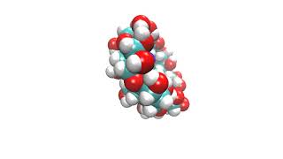 Molecular Dynamics of HostGuest Inclusion Complex Cyclodextrin  1bromobutane [upl. by Eusassilem]