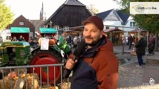 20 Gänsemarkt in Haltern am See [upl. by Ynomrah640]