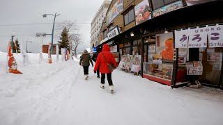 Peaceful Morning Walk to Otaru Canal and Music Box Museum  Hokkaido [upl. by Othilia]