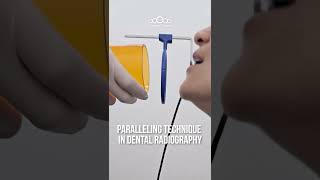 Paralleling technique in dental radiography dentalbean [upl. by Aikmat]