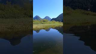 Widgeon Falls near Pitt Meadows  Trail Guide  Vancouver Trails [upl. by Tebazile104]