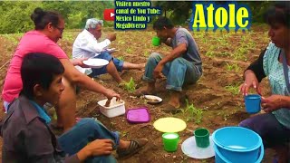 Haciendo ATOLE DE GRANILLO para llevarlo al cerro en el almuerzo 🍯 🌍 🌾 [upl. by Myrtie]