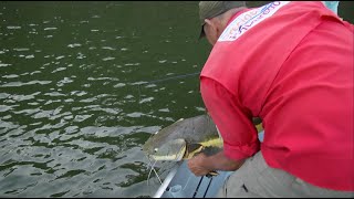 Pesca Amazônia  Novo Aripuanã [upl. by Egap196]