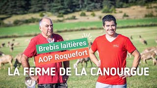 Découvrez le GAEC des Fonts à La Canourgue en Lozère 48 à la recherche dun nouvel associé [upl. by Izawa292]