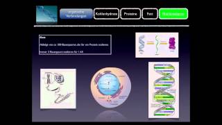 Basiskurs BiochemieChemie Nukleinsäuren Teil 1010 [upl. by Chadd150]