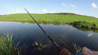 BFS fishing for Bream and Roach  UK Canal fishing [upl. by Junna]