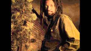 Lucky Dube quot Cant Blame You quot [upl. by Adriena]