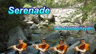 Serenade for flute quartet：RHofstetterHaydn セレナーデ R・ホフシュテッター（伝ハイドン）【フルート四重奏】 [upl. by Latona]