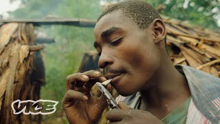 The Congolese Tribes Selling Weed to Survive  WEEDIQUETTE [upl. by Goldberg]