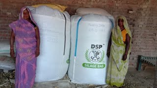 Silage making process  Dsp silage bag 7709843117 silagemaking [upl. by Giule]