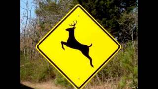 ORIGINAL  Please Move The Deer Crossing Sign [upl. by Shamrao]