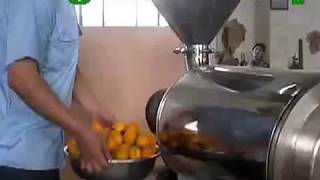 Passion Fruit Pulping Machine [upl. by Wardlaw158]